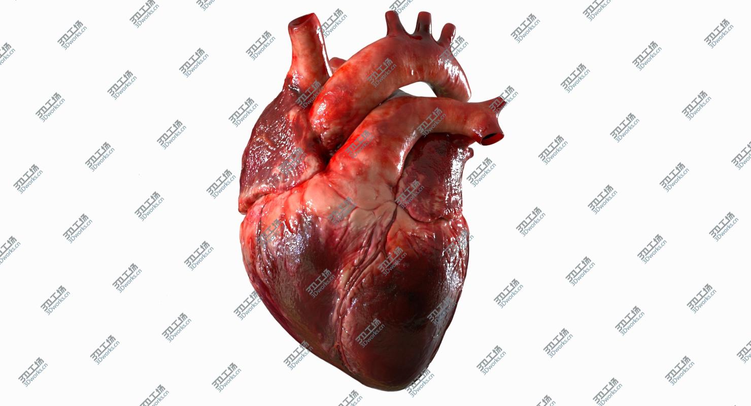 images/goods_img/20210113/3D Human Heart Anatomy (Animation) model/2.jpg